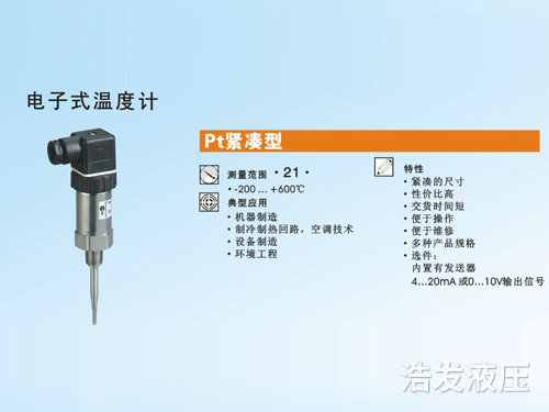 電子式溫度計